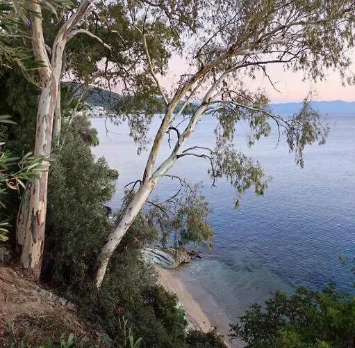 Holiday home Marilia *